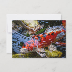 Japanese Koi Fish Pond Thank You Card