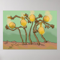 japanese-lantern-slime fungus