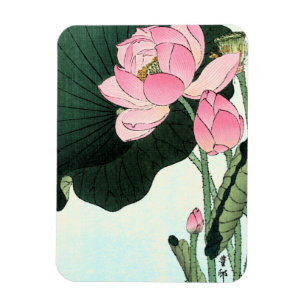 Japanese Lotus Flower - Vintage Fine Art Magnet