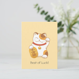 Japanese Lucky Calico Cat, Maneki Neko Postcard