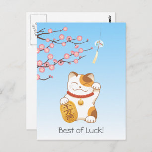 Japanese Lucky Calico Cat, Maneki Neko Postcard