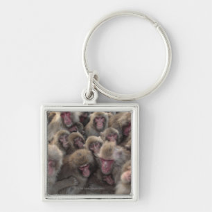 Japanese macaque (Macaca fuscata) huddled Key Ring