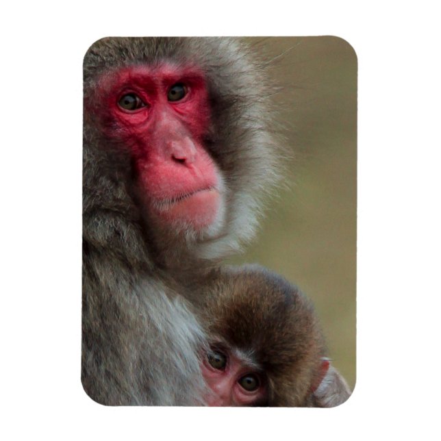 Japanese Macaque Monkeys Flexible Magnet (Vertical)