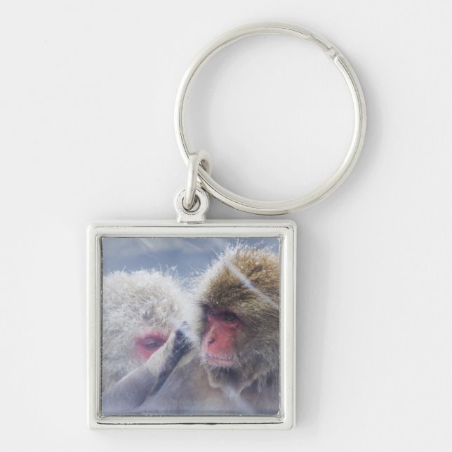 Japanese Macaques (Macaca fuscata) Grooming in Key Ring (Front)