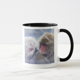 Japanese Macaques (Macaca fuscata) Grooming in Mug