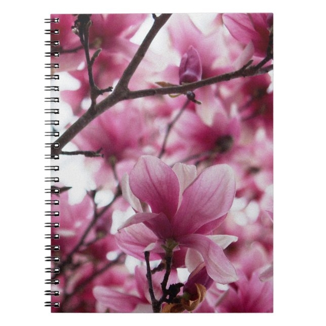 Japanese Magnolia Notebook (Front)