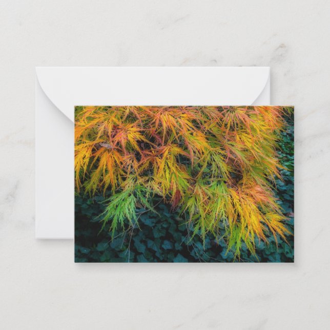 Japanese Maple Autumn Impressions Card (Front)