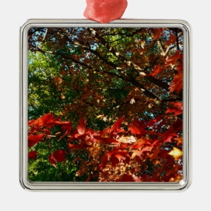 Japanese Maple, Autumn tree leaves Metal Tree Decoration