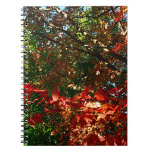 Japanese Maple, Autumn tree leaves Spiral Notebook