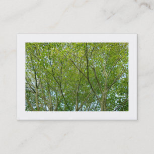 Japanese Maple (Bordered) Business Card