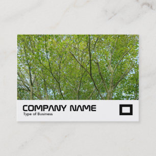 Japanese Maple Business Card