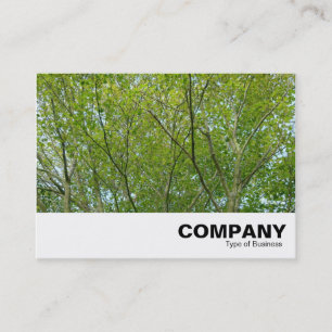 Japanese Maple Business Card