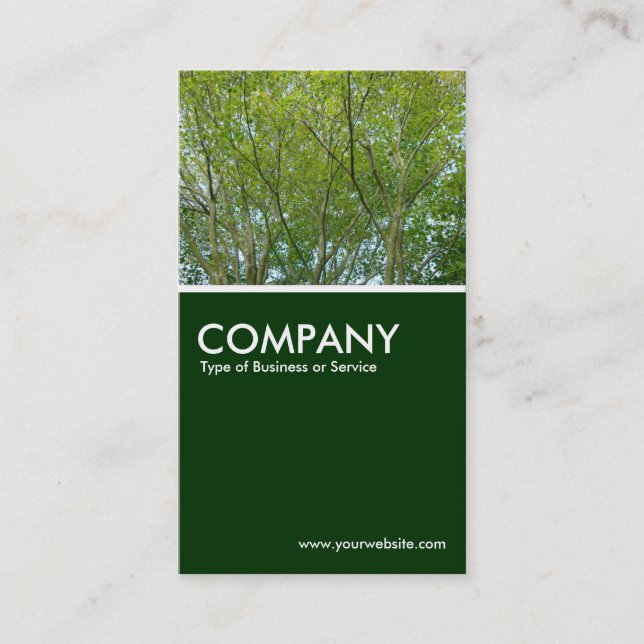 Japanese Maple - Dark Green Business Card (Front)