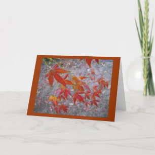 Japanese Maple greeting card