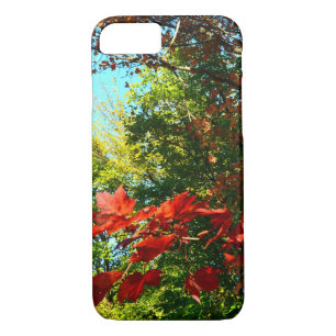 Japanese Maple in Autumn Case-Mate iPhone Case