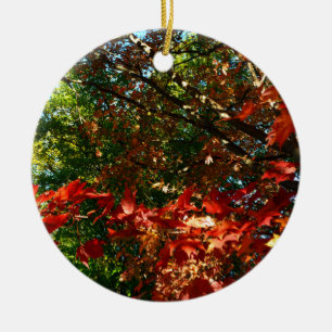 Japanese Maple in Autumn Ceramic Tree Decoration