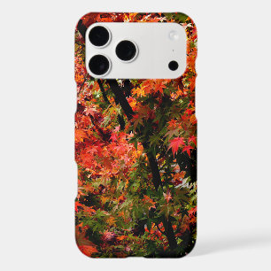 Japanese Maple in Fall