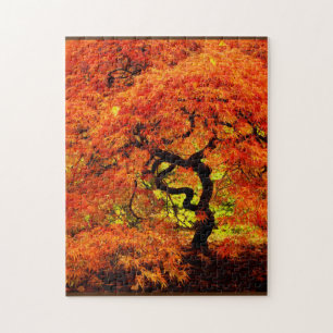 Japanese Maple in Fall Autumn Orange Challenging Jigsaw Puzzle