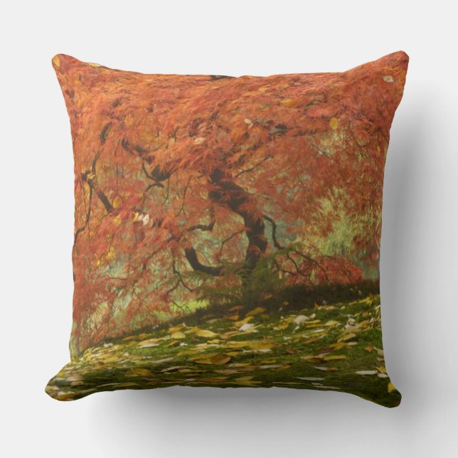Japanese maple in fall colour cushion (Front)
