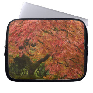Japanese maple in fall colour laptop sleeve