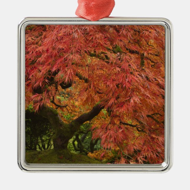 Japanese maple in fall colour metal tree decoration (Front)