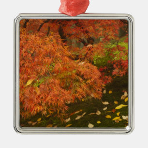 Japanese maple in fall colour metal tree decoration