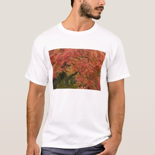 Japanese maple in fall colour T-Shirt (Front)