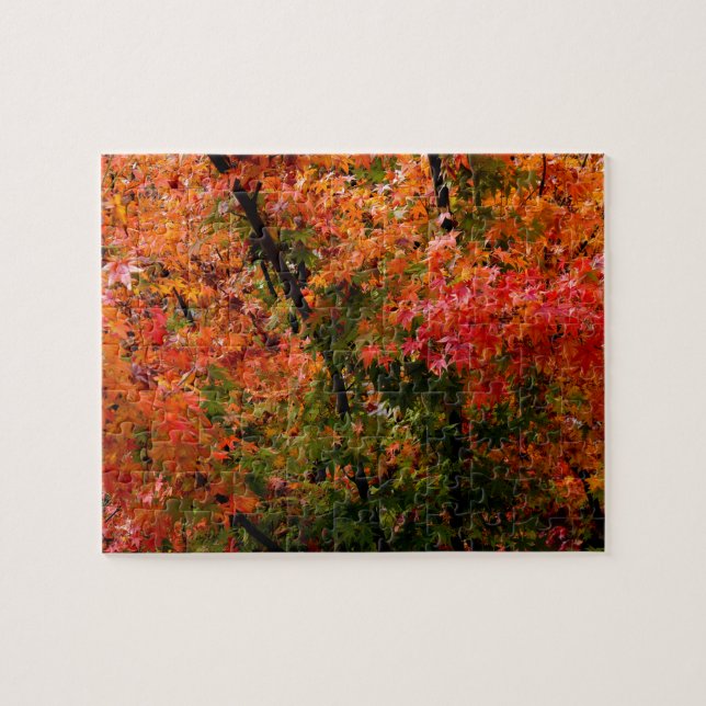 Japanese Maple in Fall Jigsaw Puzzle (Horizontal)
