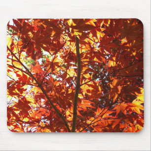 Japanese Maple in the Sun Mouse Pad