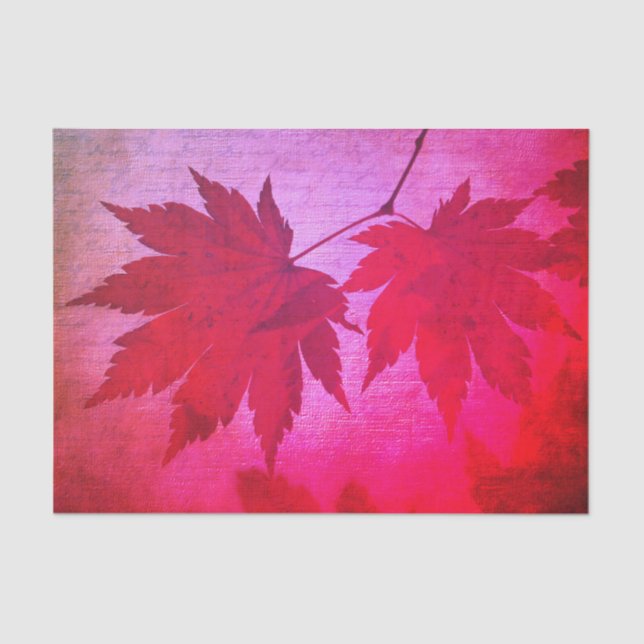 Japanese maple  leaf and script fall pink red tissue paper (Front)