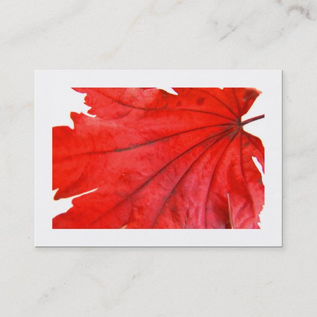 Japanese Maple Leaf (Bordered) Business Card (Front)