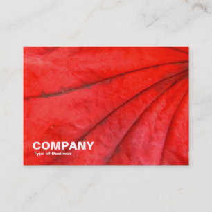 Japanese Maple Leaf Business Card