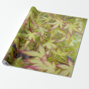 Japanese Maple Leaf Gift Wrap