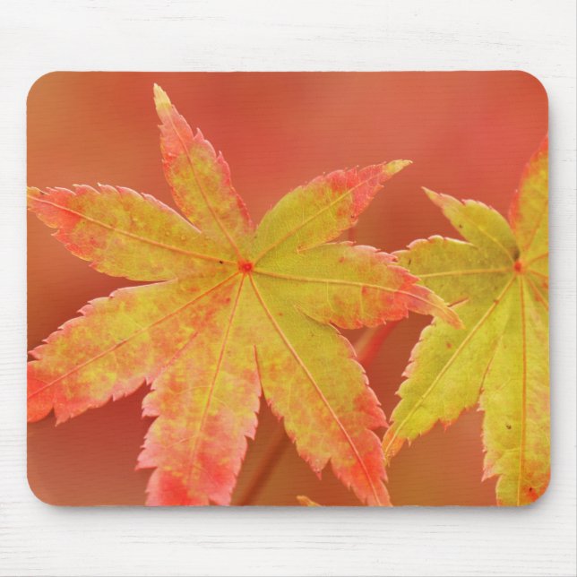 Japanese Maple Leaf Mouse Pad (Front)