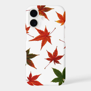 Japanese Maple Leaves