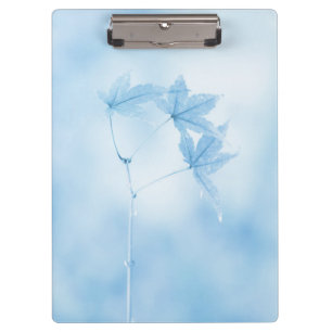 Japanese Maple Leaves in Blue Clipboard
