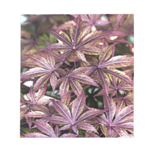 Japanese Maple Leaves Notepad