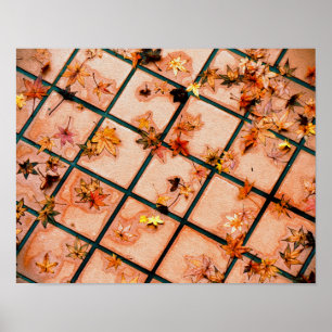 Japanese Maple Leaves on Tiled Ground Poster