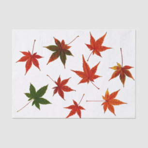 Japanese Maple Leaves Tissue Paper