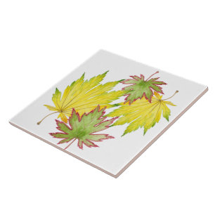 Japanese Maple on a Ceramic Tile (2)