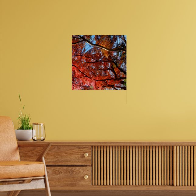 Japanese Maple Poster (Living Room 2)