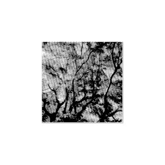 Japanese Maple Rubber Stamp