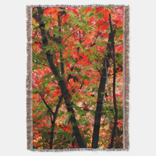 Japanese Maple Throw Blanket