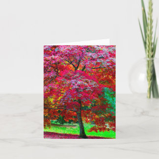 Japanese maple tree Greeting card