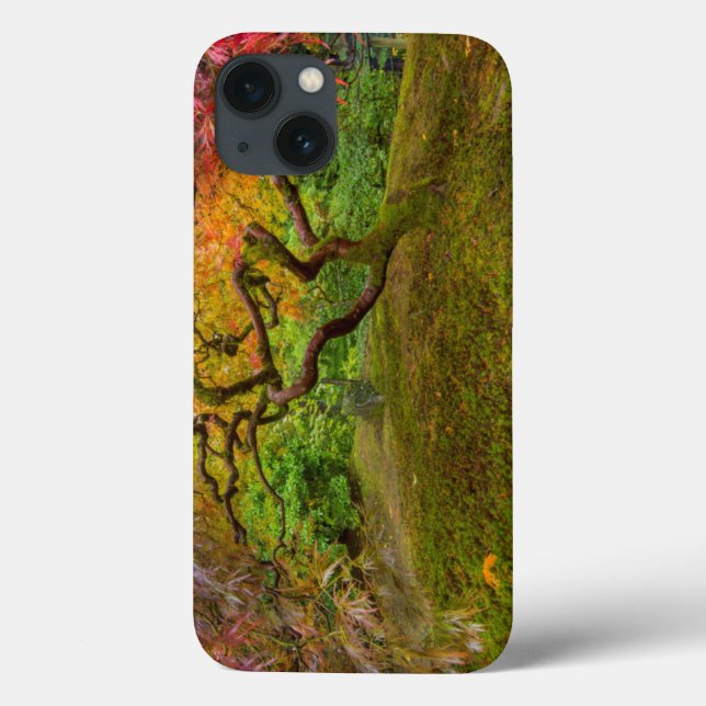 Japanese maple tree in autumn color Case-Mate iPhone case (Back)