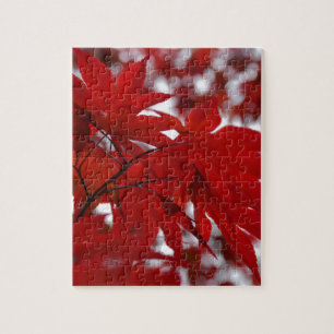 Japanese Maple Tree Jigsaw Puzzle