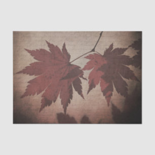 Japanese maple tree leaf script fall brown burgund tissue paper