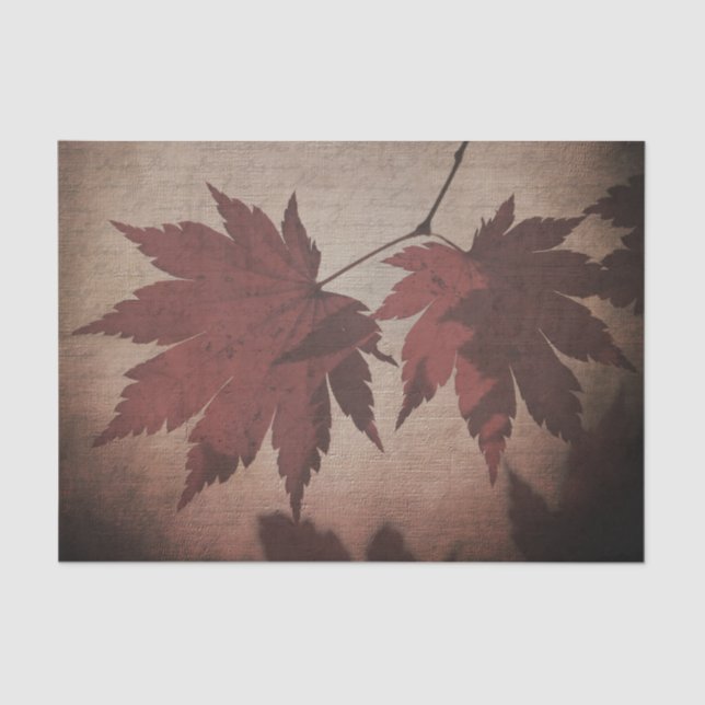 Japanese maple tree leaf script fall brown burgund tissue paper (Front)