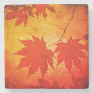 Japanese maple tree leaf script fall orange stone coaster