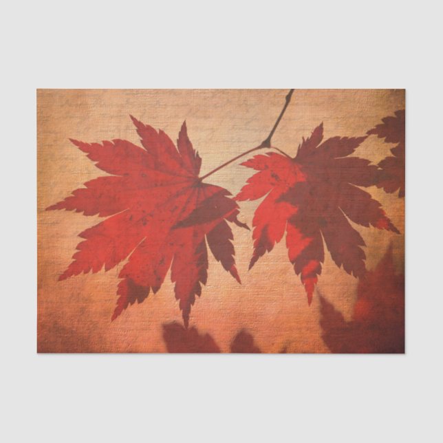 Japanese maple tree leaf script fall orange tissue paper (Front)